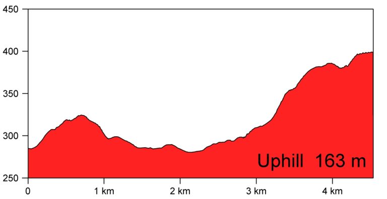 Etap 2   Droginia profil